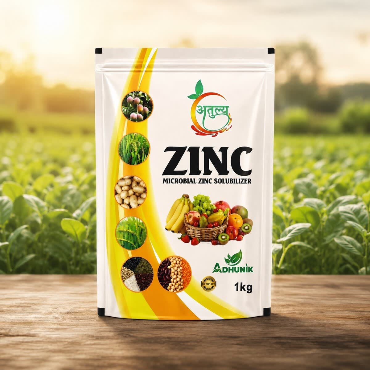 ATULYA ZINC