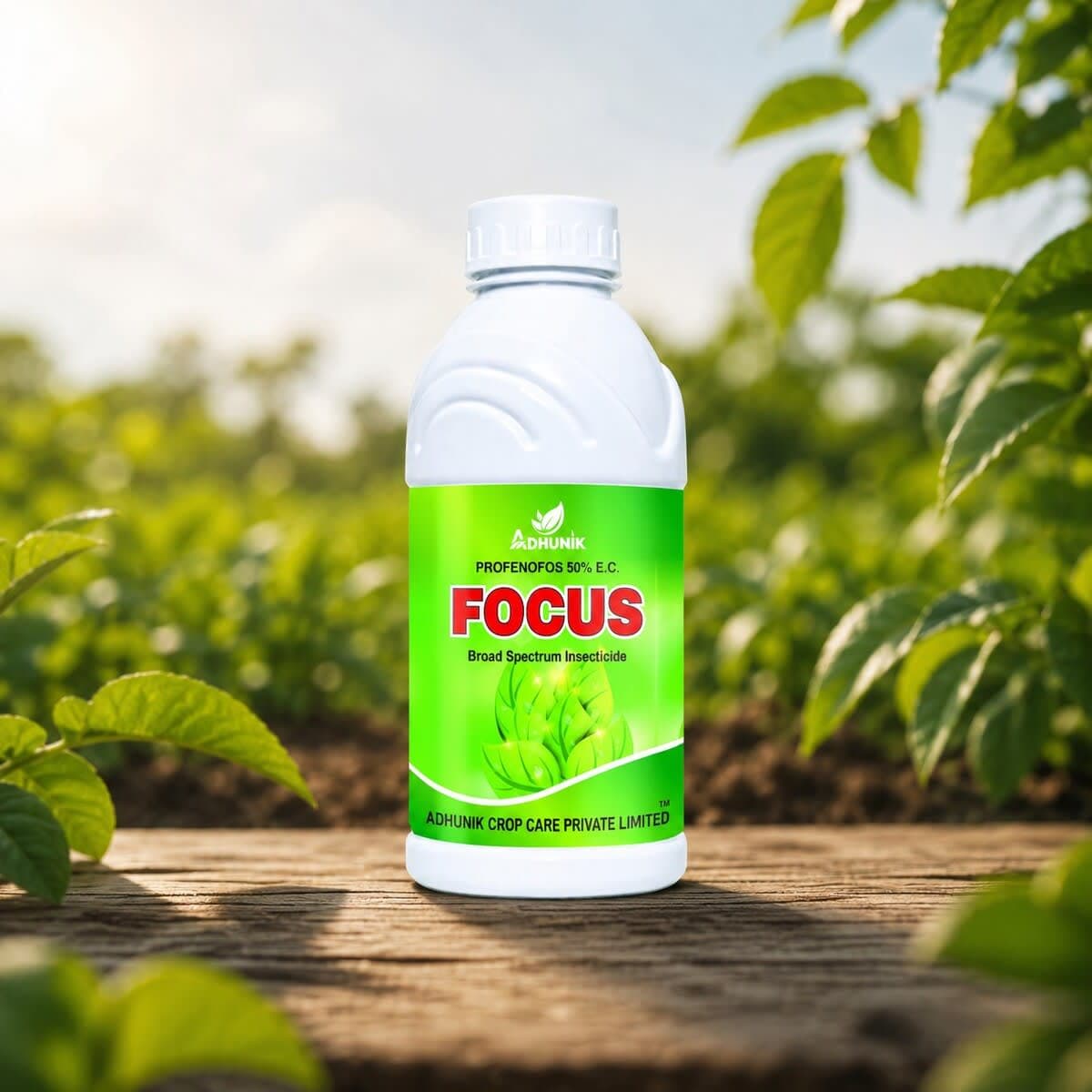 FOCUS