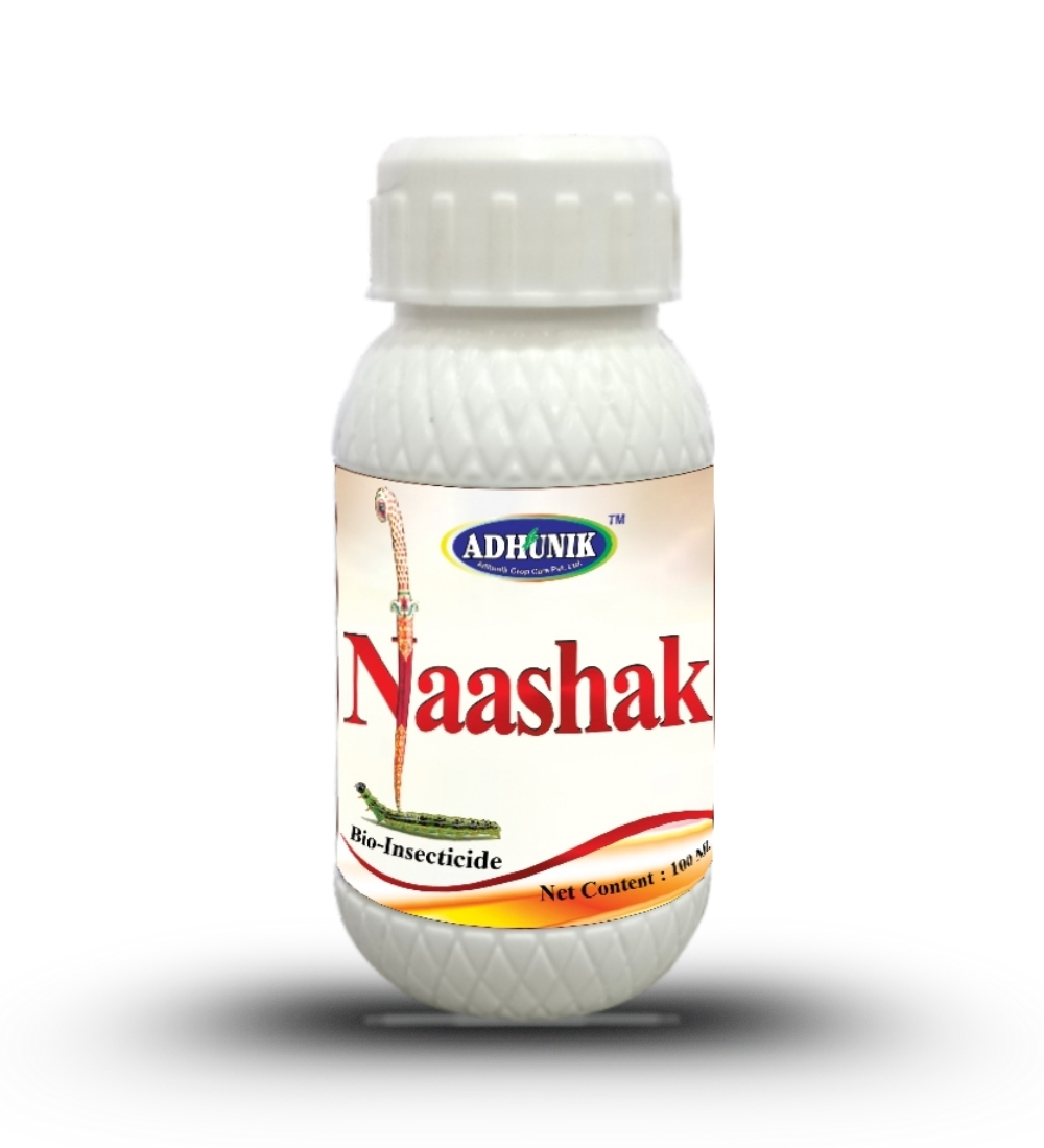 Naashak
