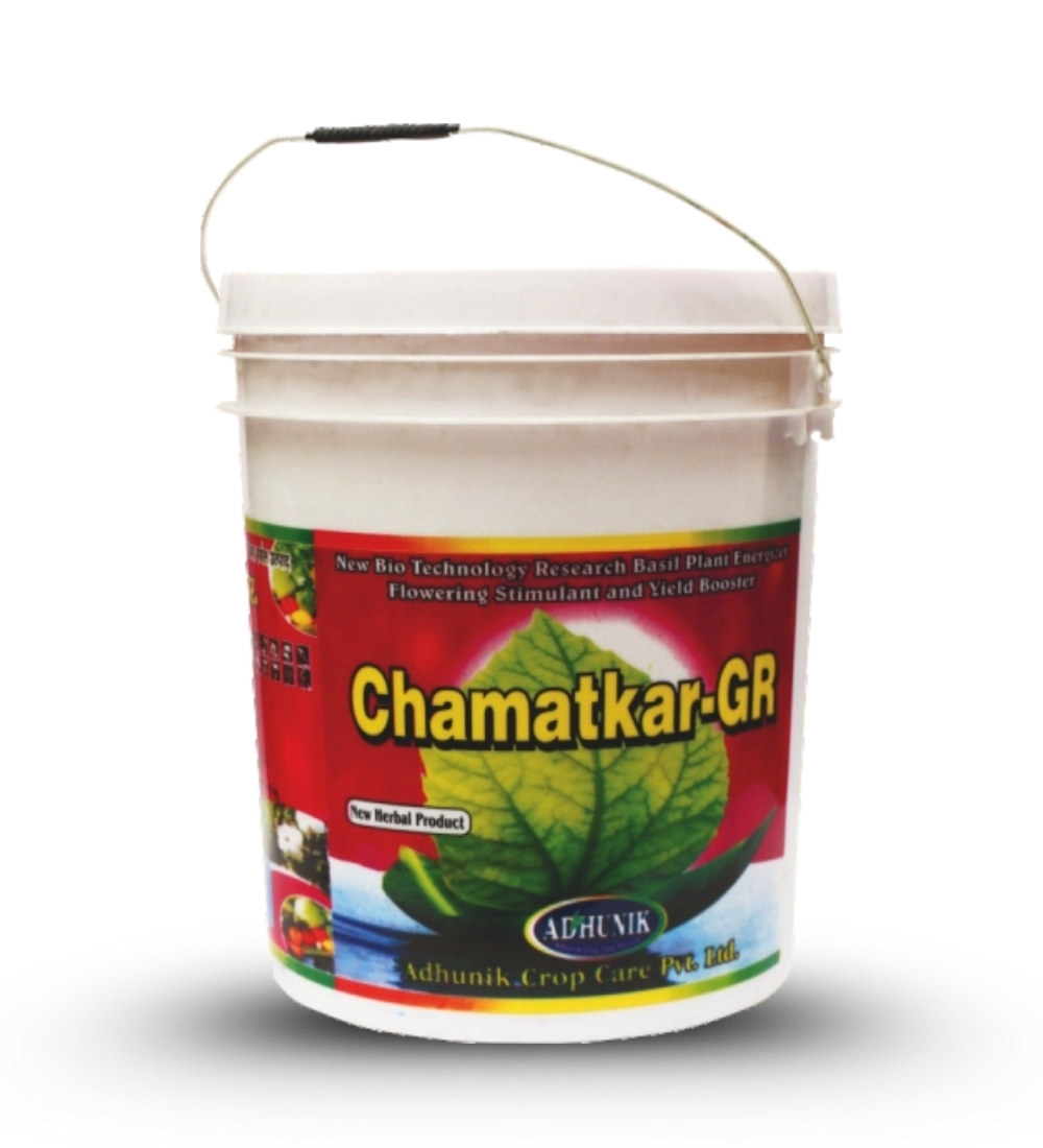 
																																																																																				Chamatkar Gr