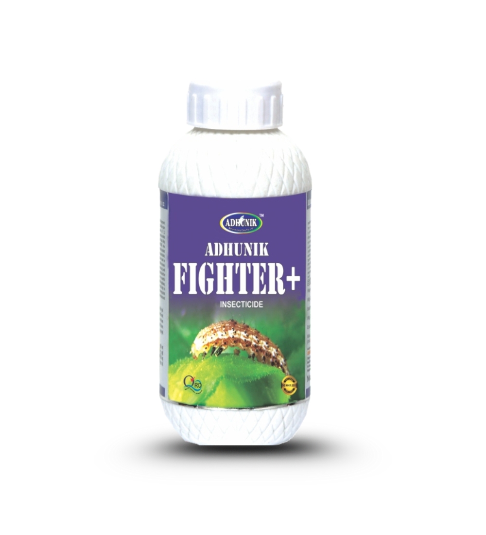 Adhunik Fighter +