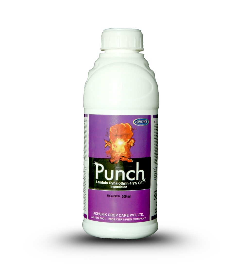 Punch