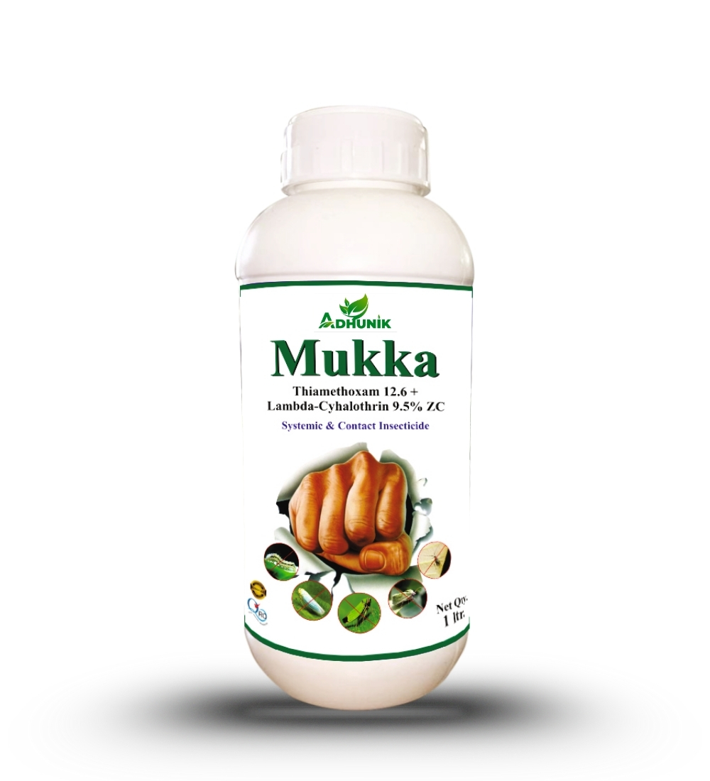 
																																																																																				Mukka