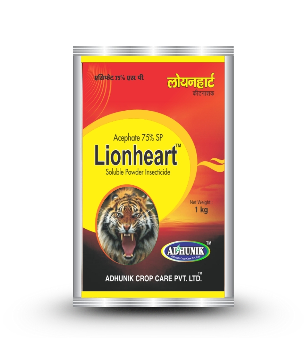 
																																																																																				Lion Heart