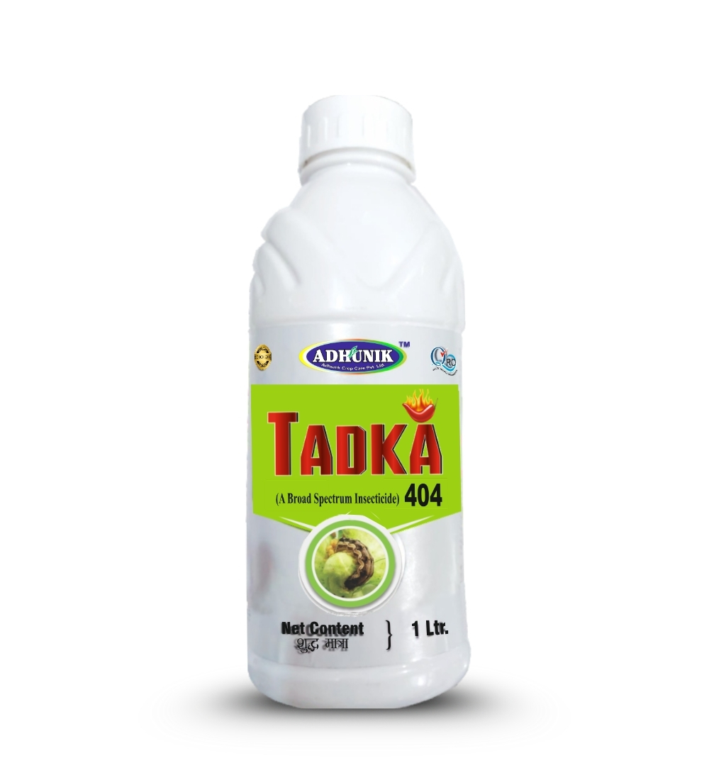 Tadka 404