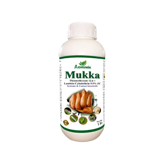 
																																																																																				Mukka
