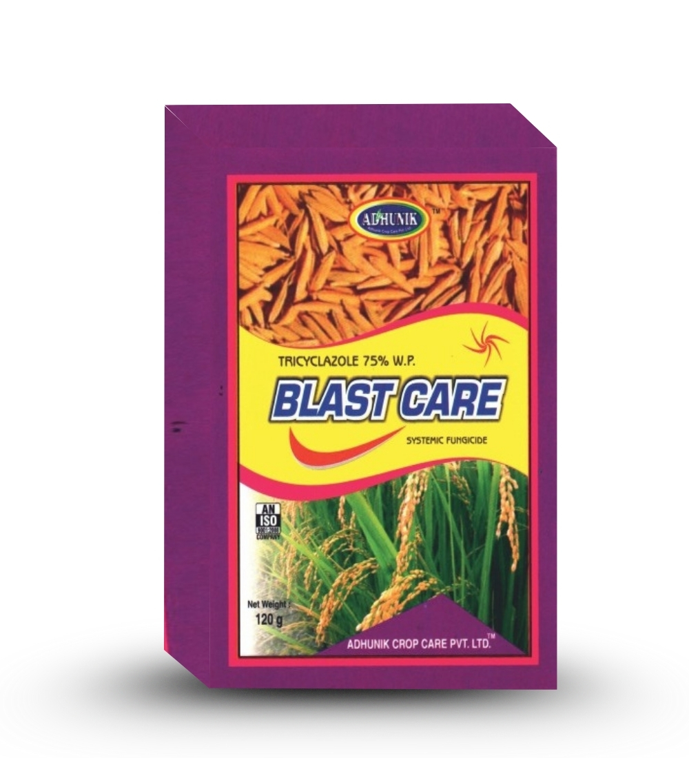 Blast Care
