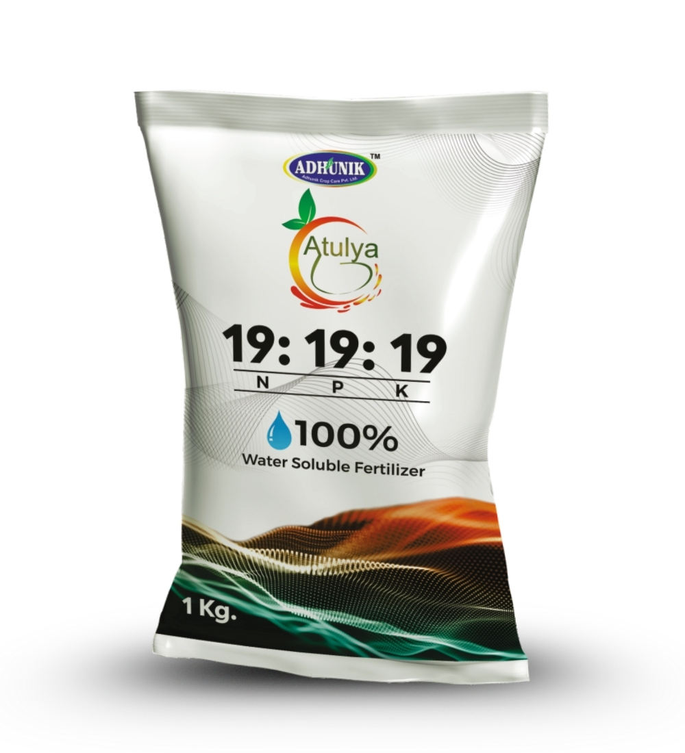 
																																																																																				Atulya N.P.K 19: 19: 19