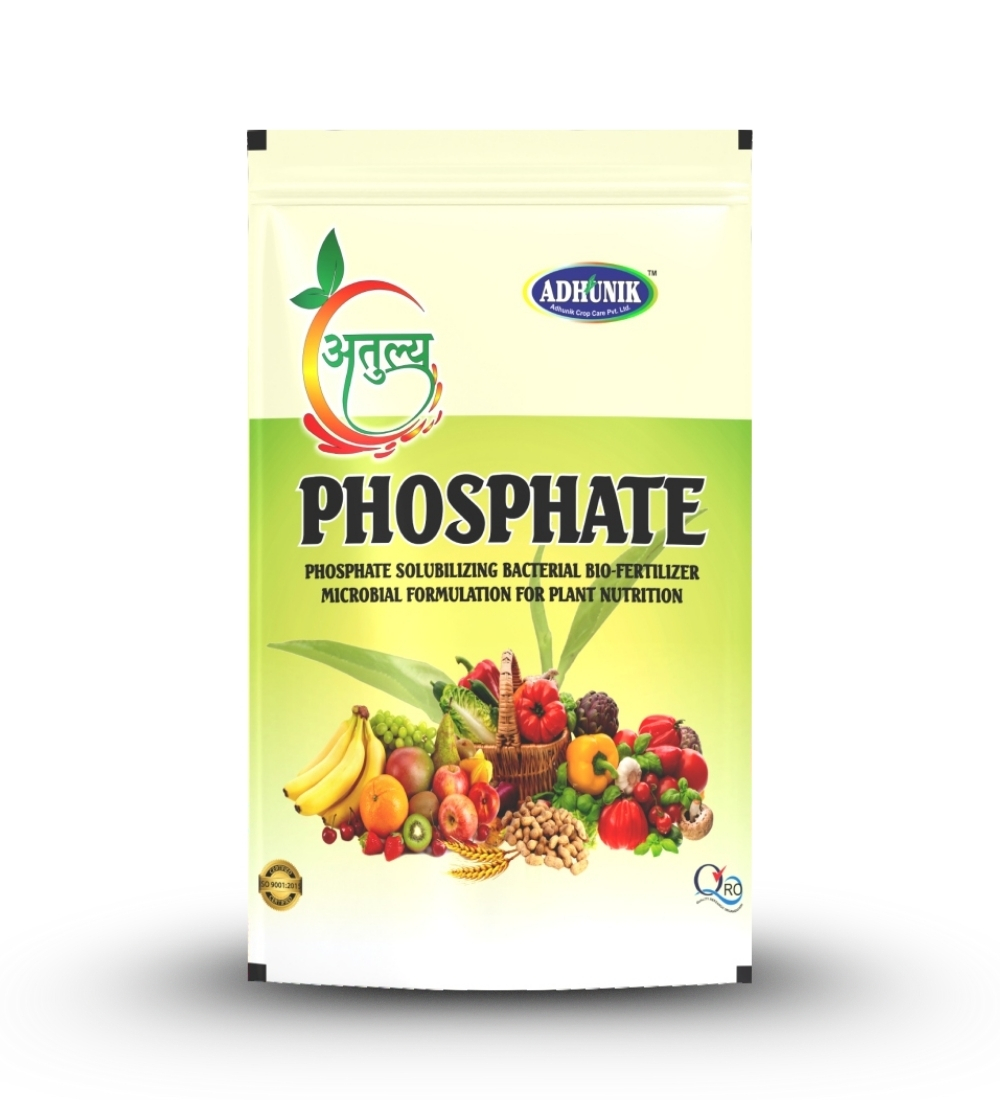 Atulya Phosphate