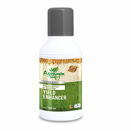 Adhunik Amrit Silver